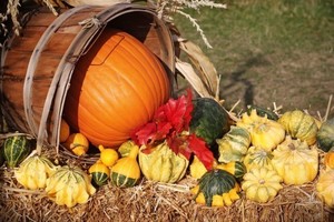 Harvest Festival/Thanksgiving