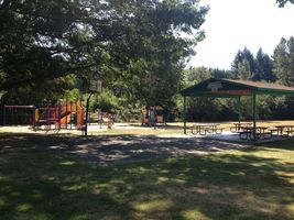 Help Clean Up the Damascus Park
