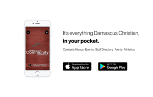 Navigating our New App